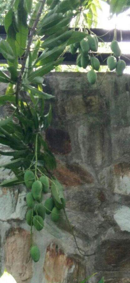 Nober Apartments Puerto Princesa Dış mekan fotoğraf
